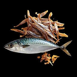 SEAFOOD / DRIED MARINE PRODUCTS