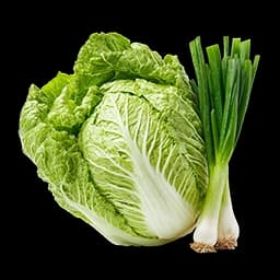 VEGETABLES