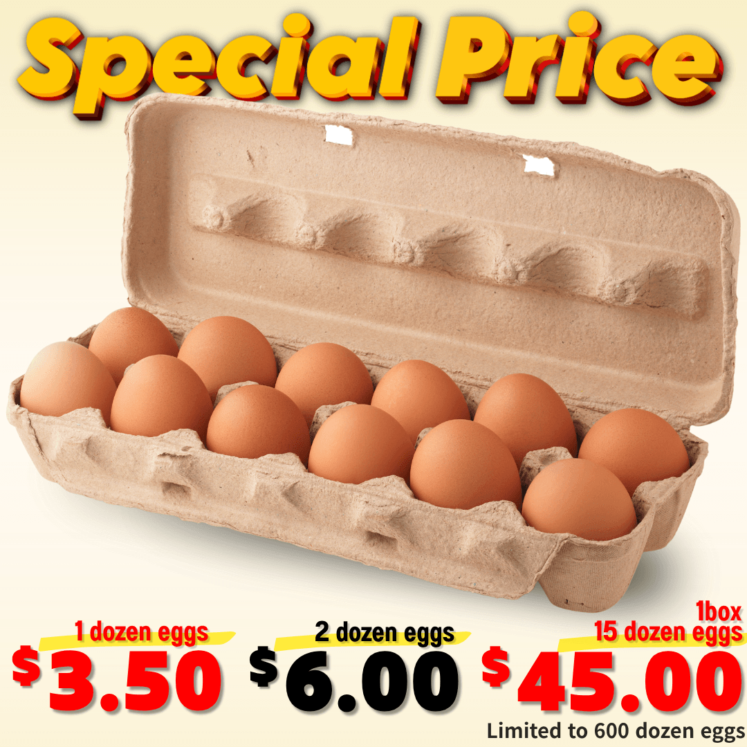 [Deal] Fresh Eggs✨